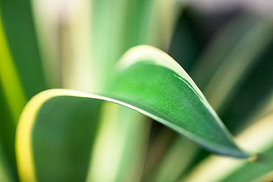 《消逝的光芒2》照片模式、二周目等在开发中